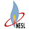 National Energy Services Limited (NESL)